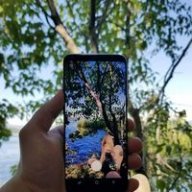 الاستاذمحمد