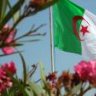 عاشقة الجزائر