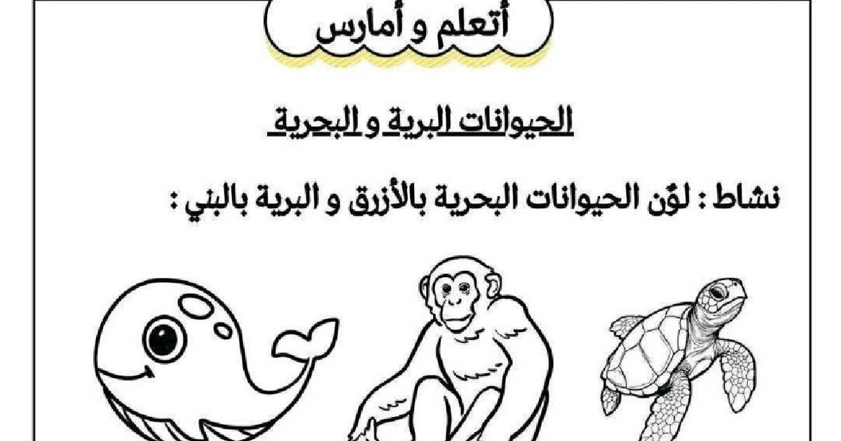 اختبار التربية الفنية القسم التحضيري رقم 7