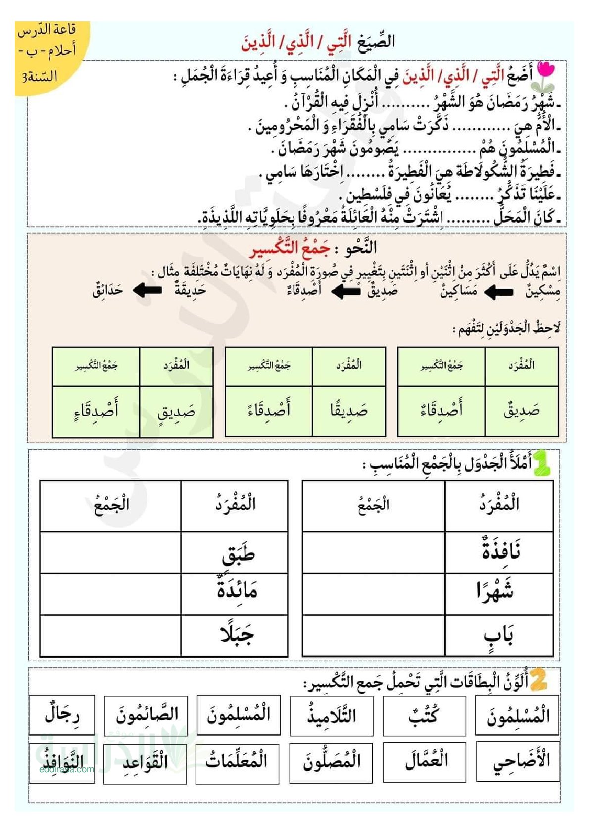 تمارين الصيغ، جمع التكسير، اسم الفاعل سنة 3 ابتدائي