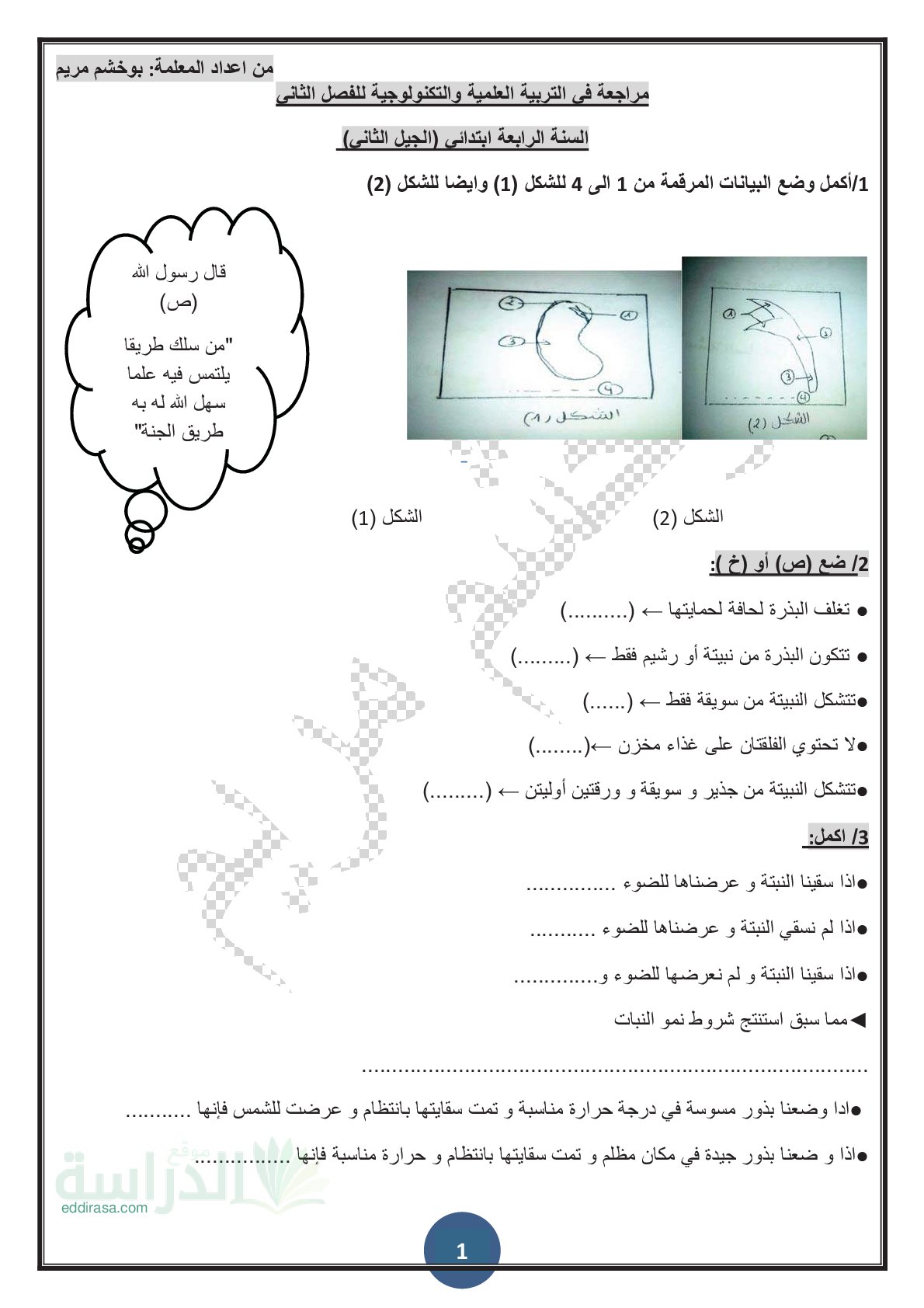 تمارين في مادة التربية العلمية الفصل الثاني سنة 4 ابتدائي