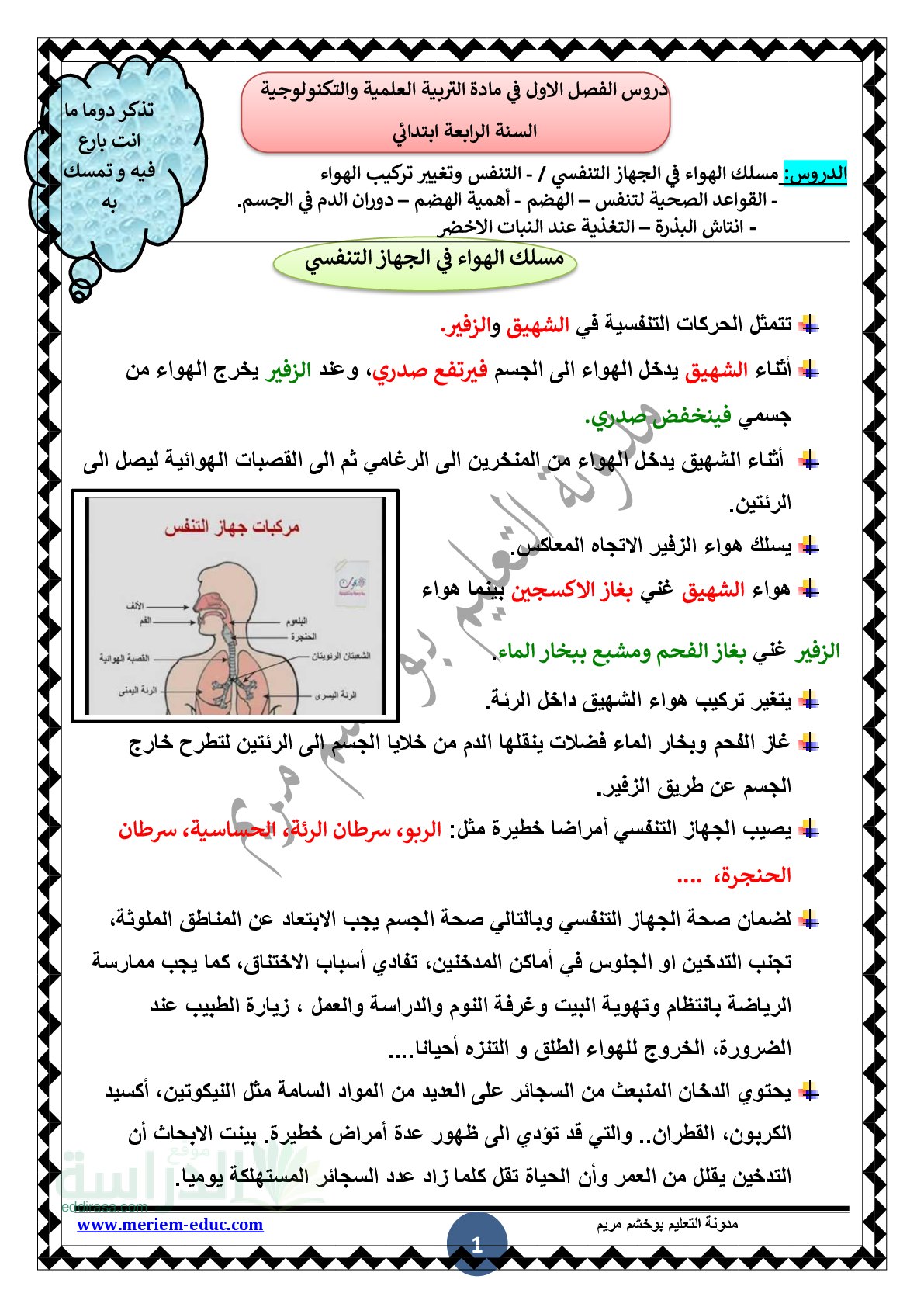 دروس الفصل الأول في التربية العلمية والتكنولوجية سنة 4 ابتدائي
