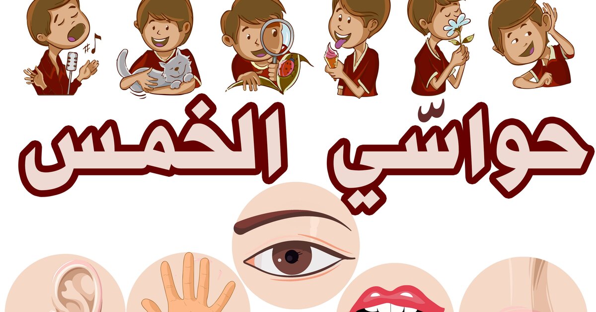 معلقات السنة الأولى ابتدائي حواسي الخمس