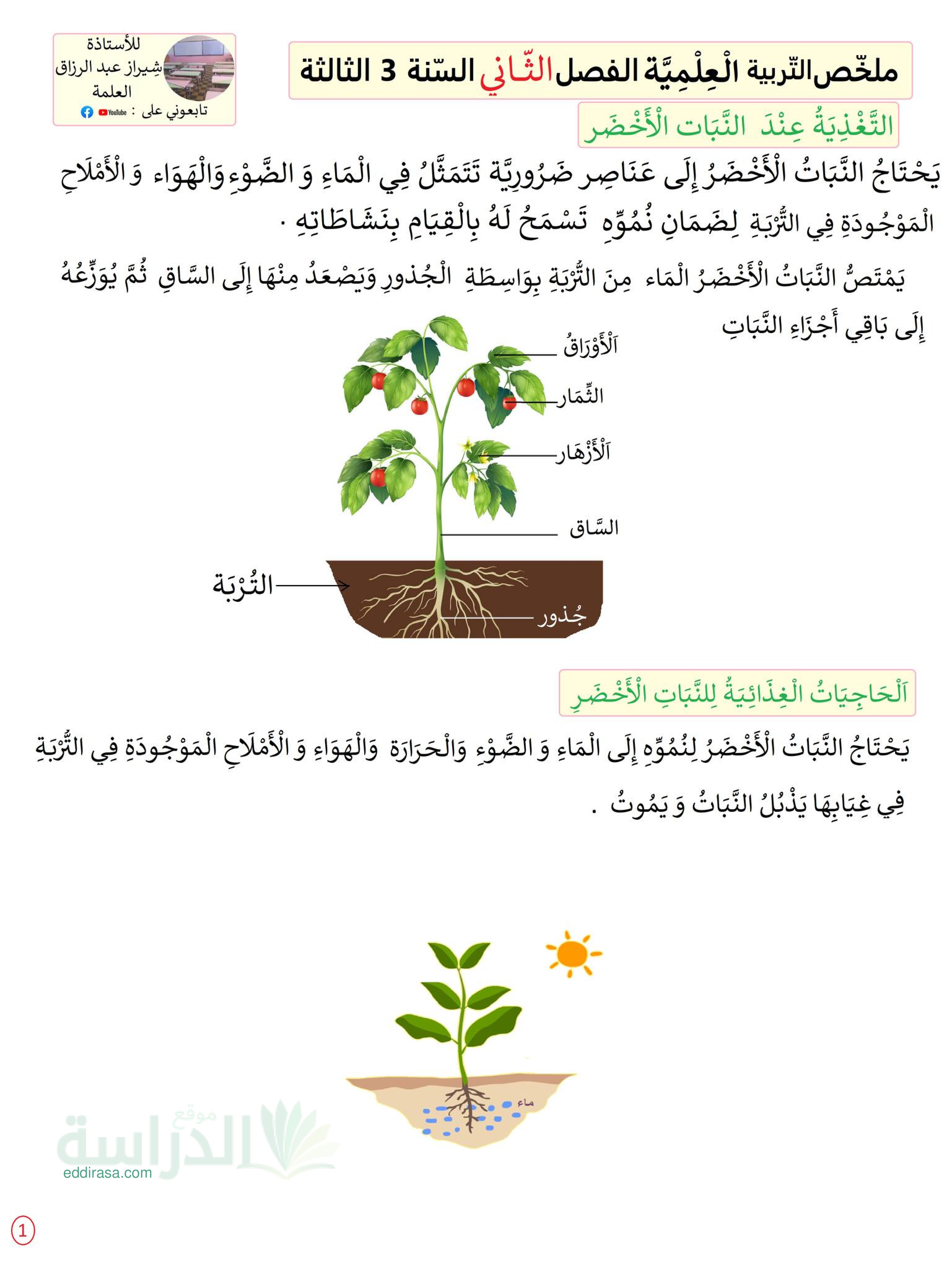 ملخص دروس التربية العلمية للفصل الثاني سنة 3 ابتدائي