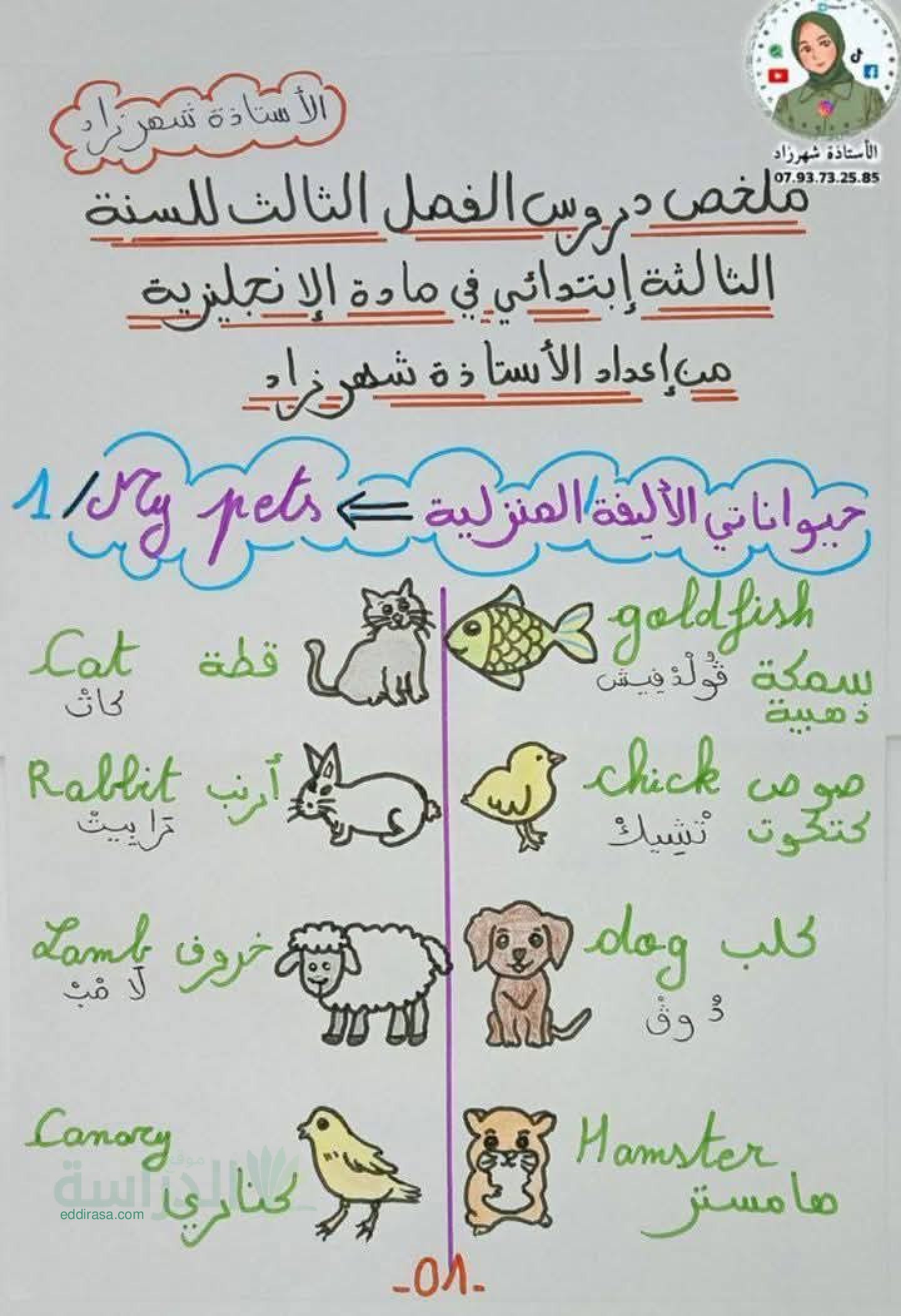 ملخص دروس الفصل الأول في الانجليزية سنة 3 ابتدائي