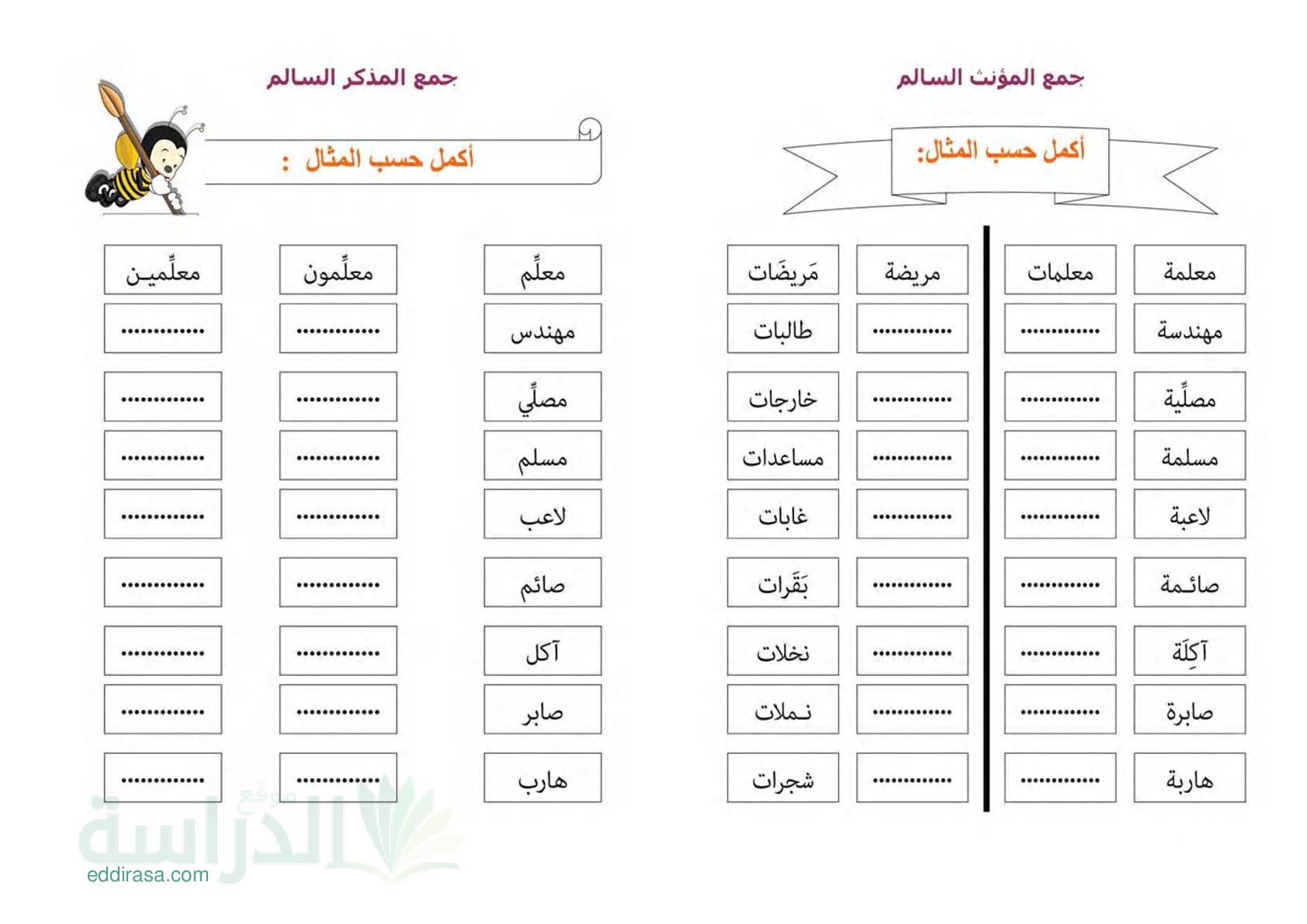 غلاف تمارين عن الجمع المذكر السالم والجمع المؤنث السالم سنة 3 ابتدائي