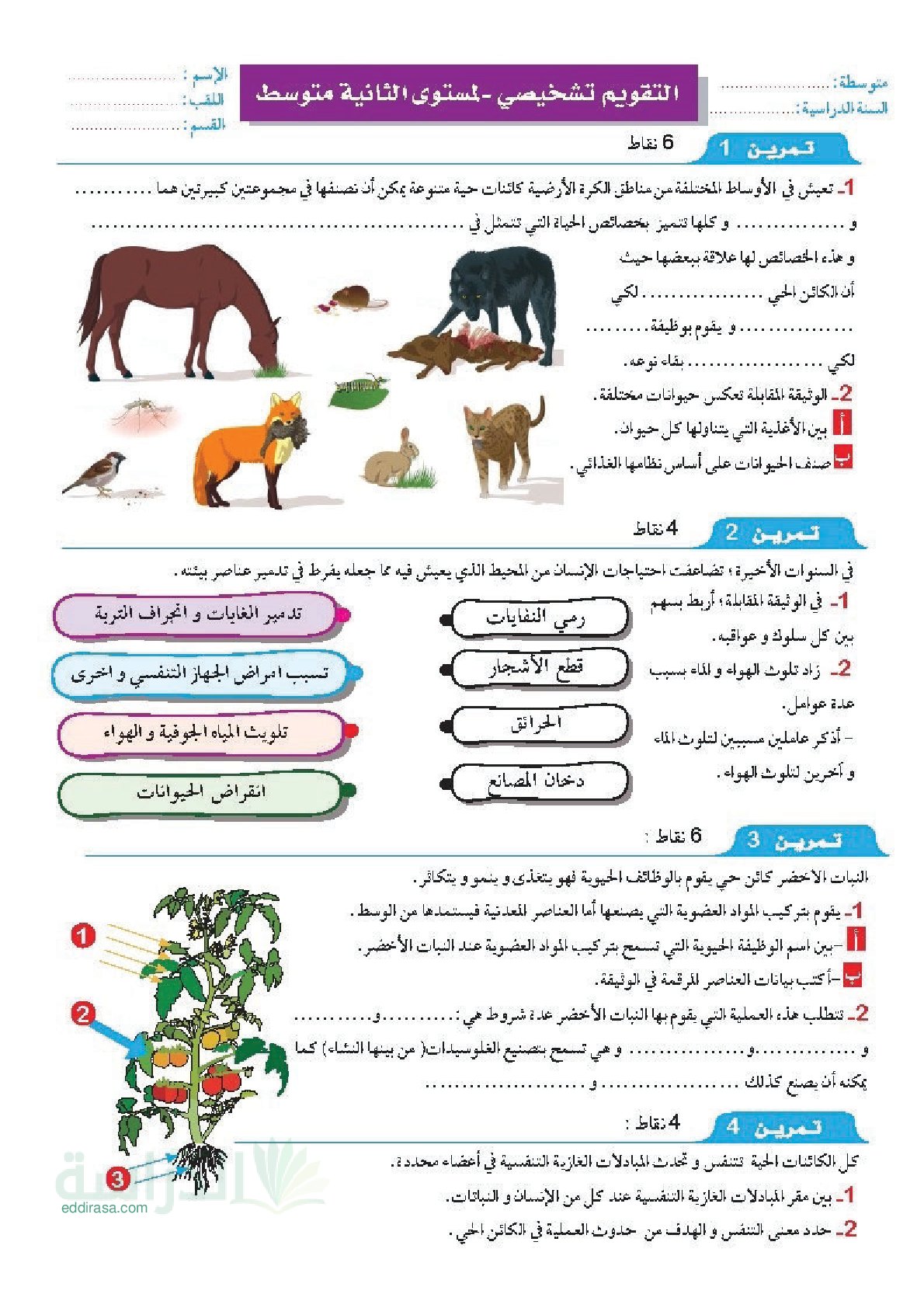 تقويم تشخيصي في العلوم الطبيعية السنة الثانية متوسط رقم 3 مع التصحيح