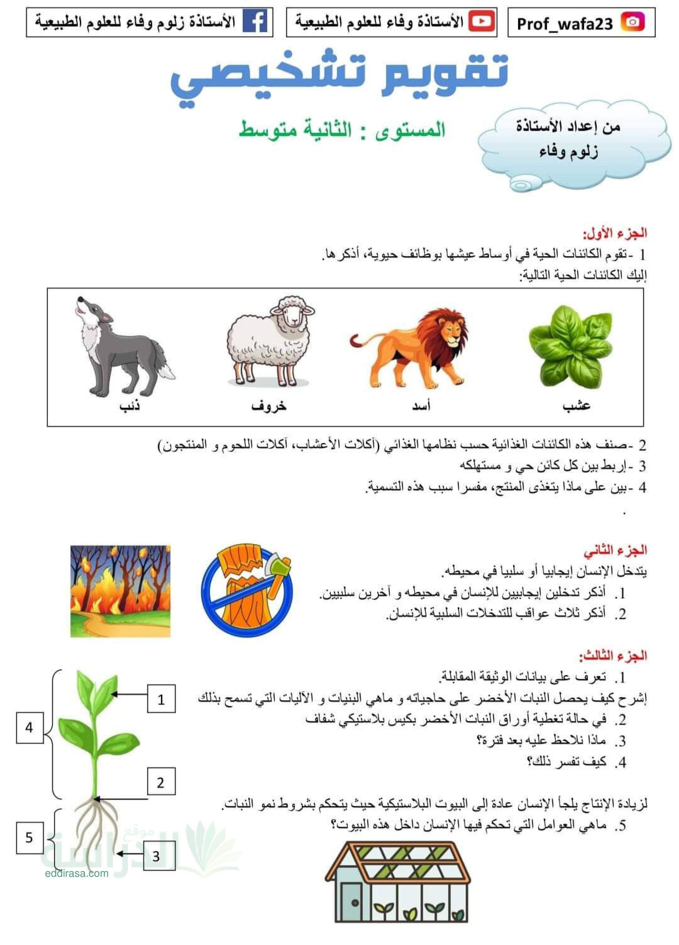 تقويم تشخيصي في العلوم الطبيعية السنة الثانية متوسط رقم 4