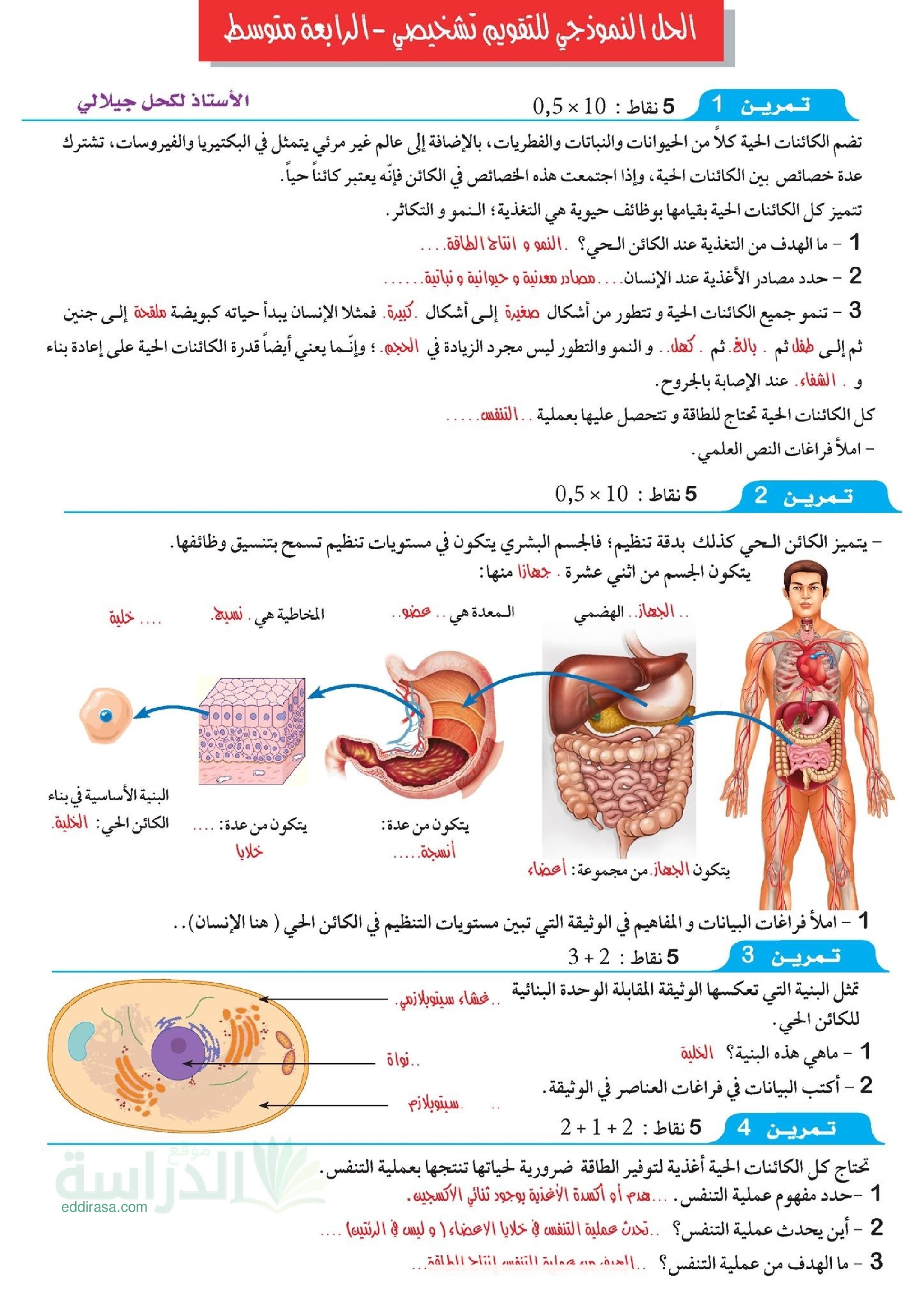 تقويم تشخيصي في العلوم الطبيعية السنة الرابعة متوسط رقم 4 مع التصحيح
