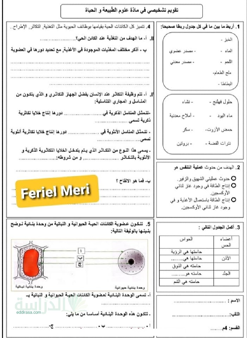 تقويم تشخيصي في العلوم الطبيعية السنة الرابعة متوسط رقم 5 مع التصحيح