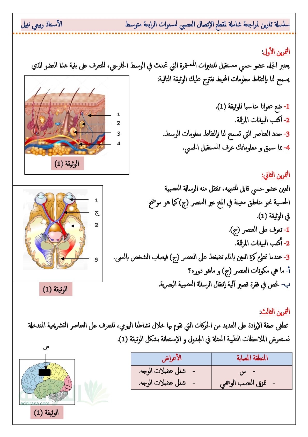 تمارين شاملة لمقطع الاتصال العصبي مع الحل - سنة 4 متوسط