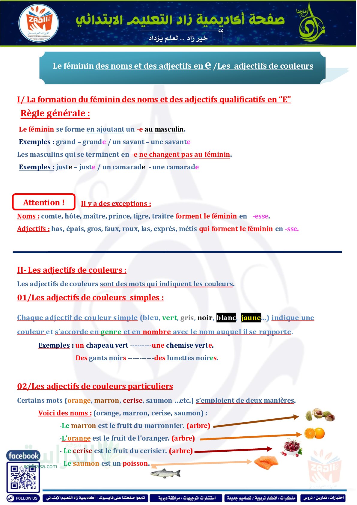 دروس وتمارين صفات الألوان Les adjectifs de couleurs سنة 5 ابتدائي