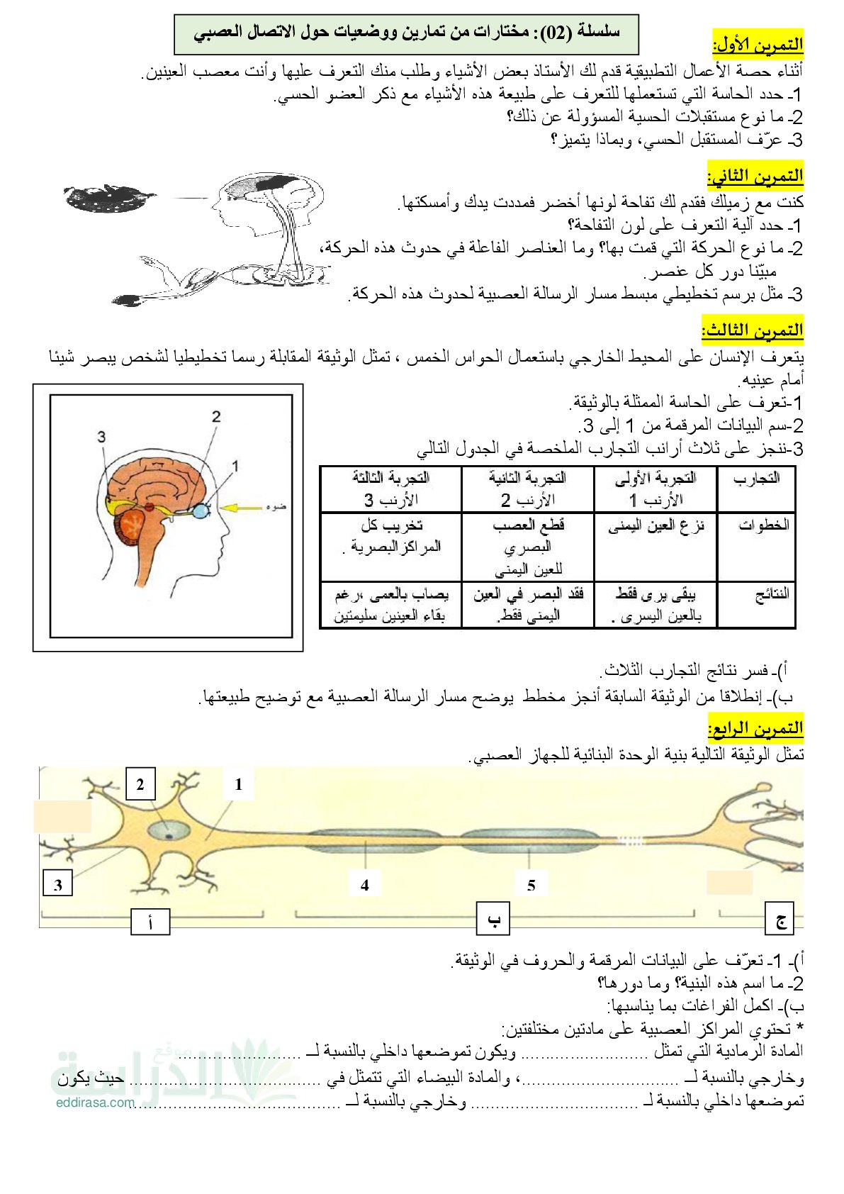سلسلة تمارين الاتصال العصبي مع الحل - سنة 4 متوسط