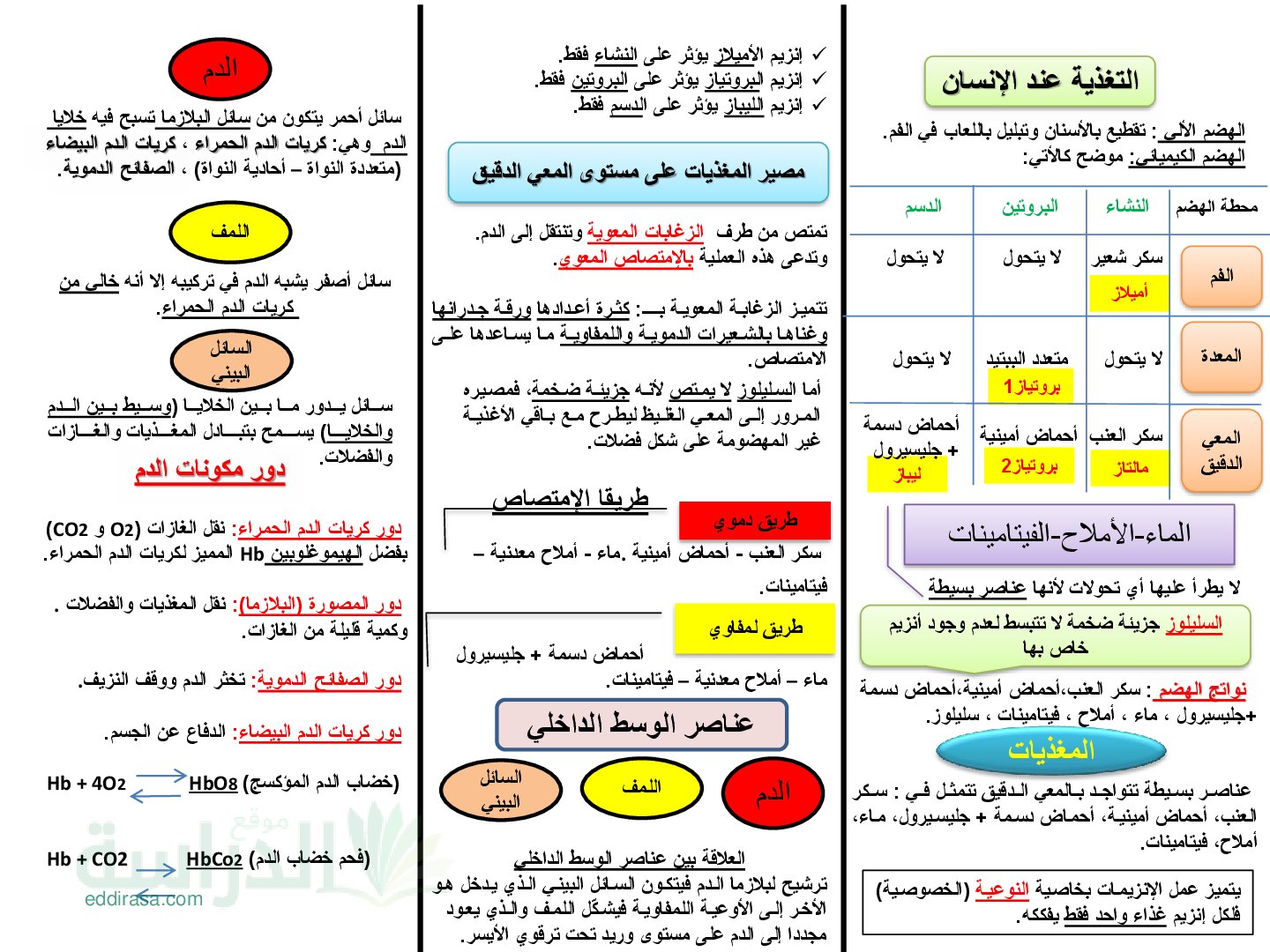 مطويات لملخصات دروس العلوم الطبيعية - سنة 4 متوسط