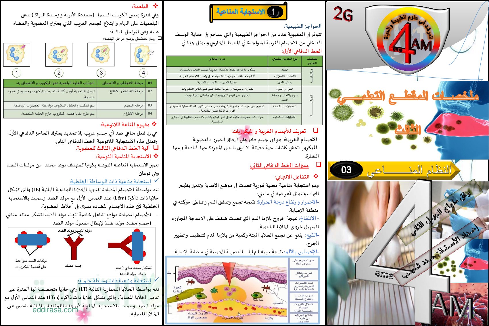 ملخصات المقطع التعلمي 3 النظام المناعي - سنة 4 متوسط