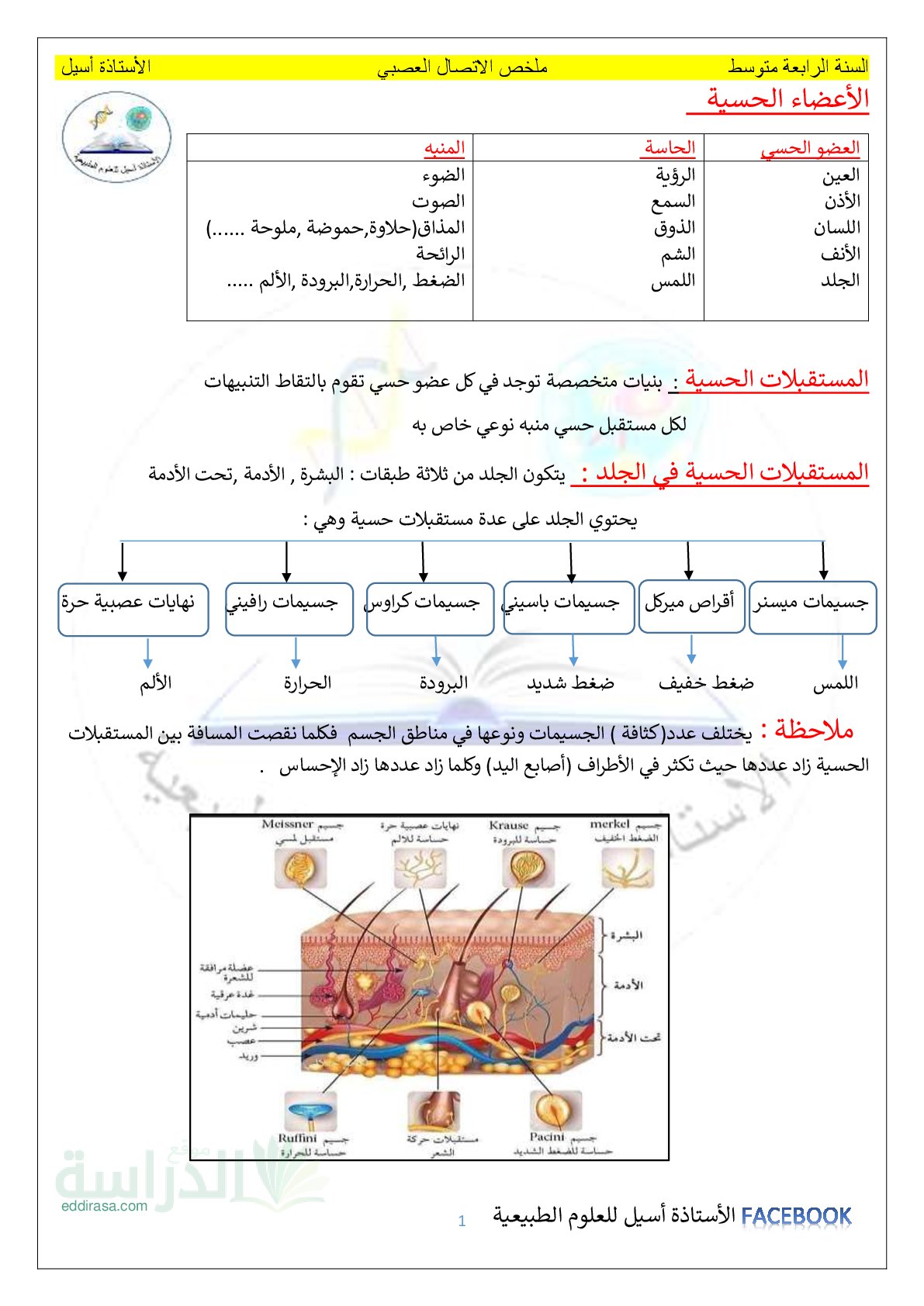 ملخص الاتصال العصبي - سنة 4 متوسط