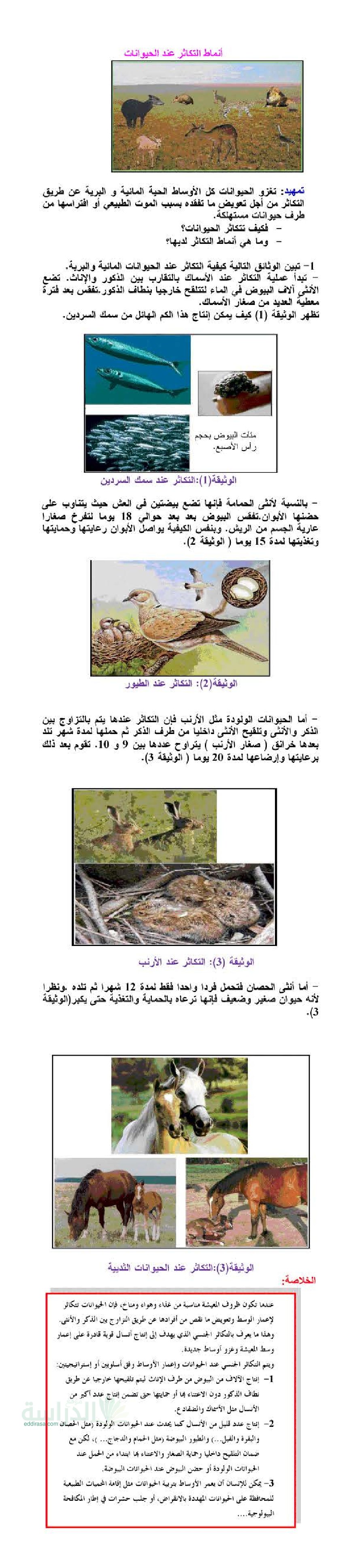 ملخص درس أنماط التكاثر عند الحيوانات في العلوم الطبيعية سنة 2 متوسط