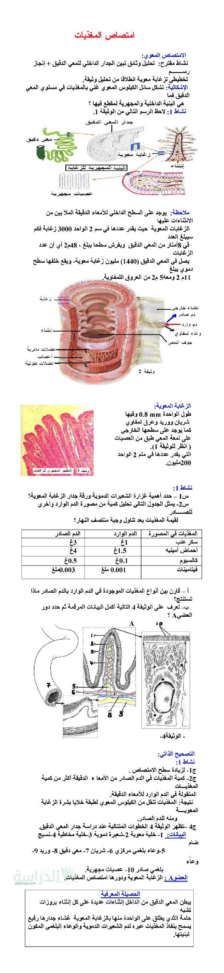 ملخص درس إمتصاص المغديات في العلوم الطبيعية - سنة 4 متوسط