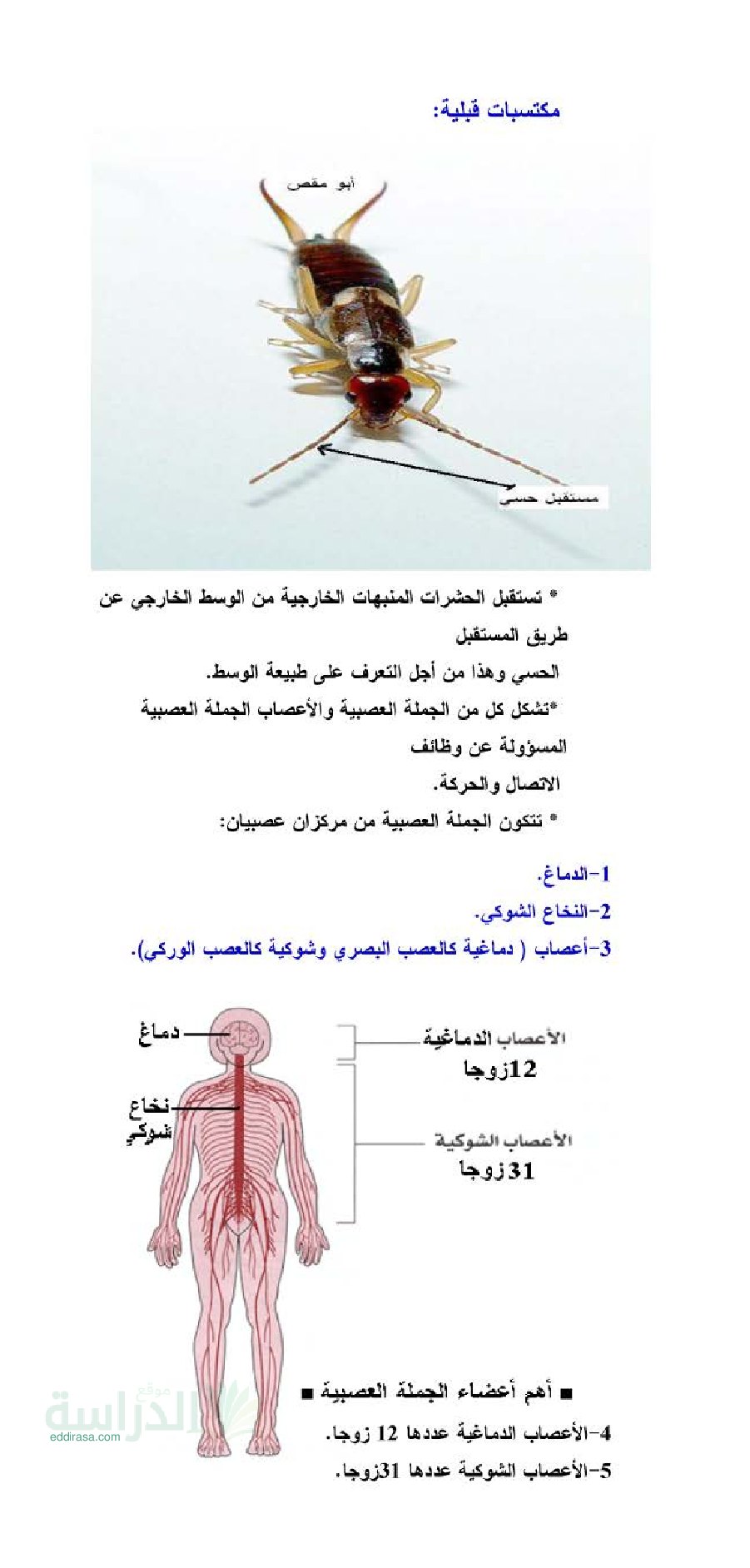 ملخص درس التنسيق الوظيفي في العضوية في العلوم الطبيعية - سنة 4 متوسط