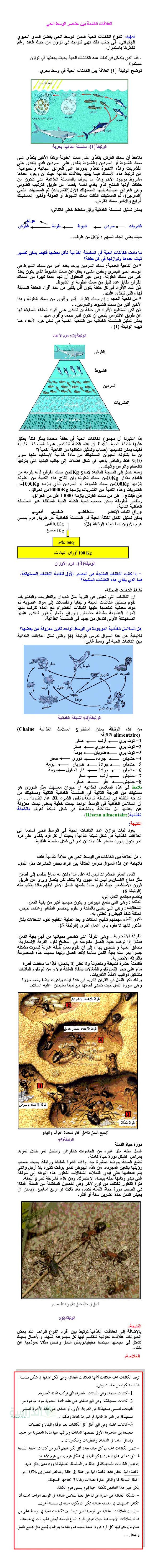 ملخص درس العلاقة القائمة بين عناصر الوسط الحي في العلوم الطبيعية سنة 2 متوسط