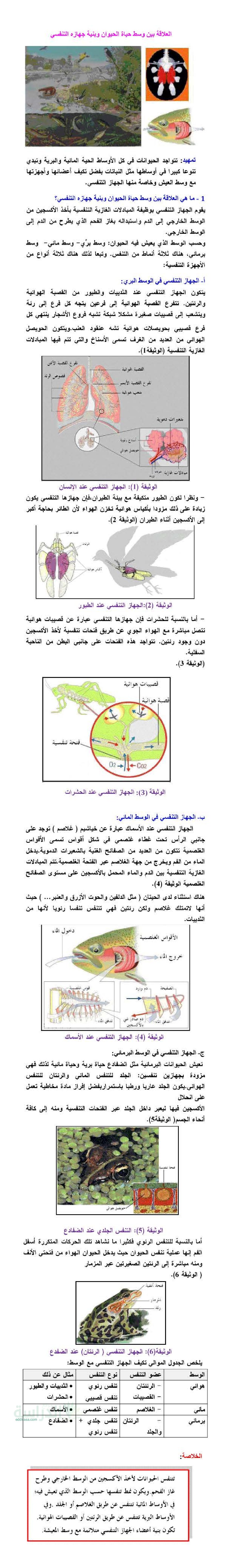 ملخص درس العلاقة بين وسط حياة الحيوان و بنية جهازه التنفسي في العلوم الطبيعية سنة 2 متوسط