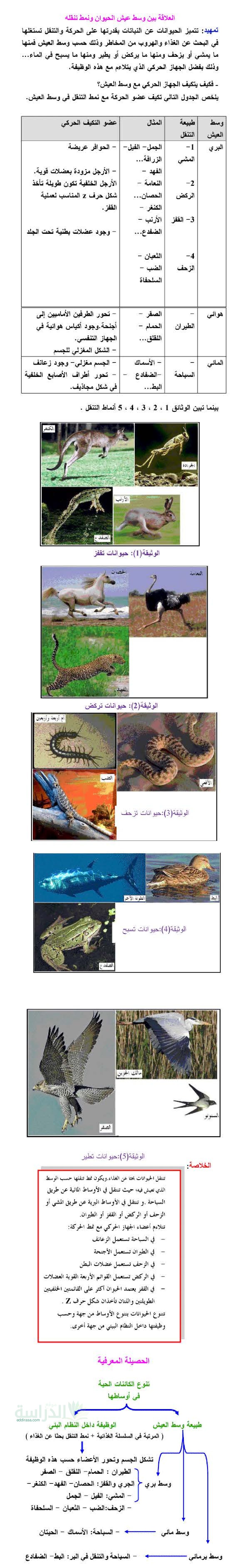 ملخص درس العلاقة بين وسط حياة الحيوان و نمط تنقله في العلوم الطبيعية سنة 2 متوسط