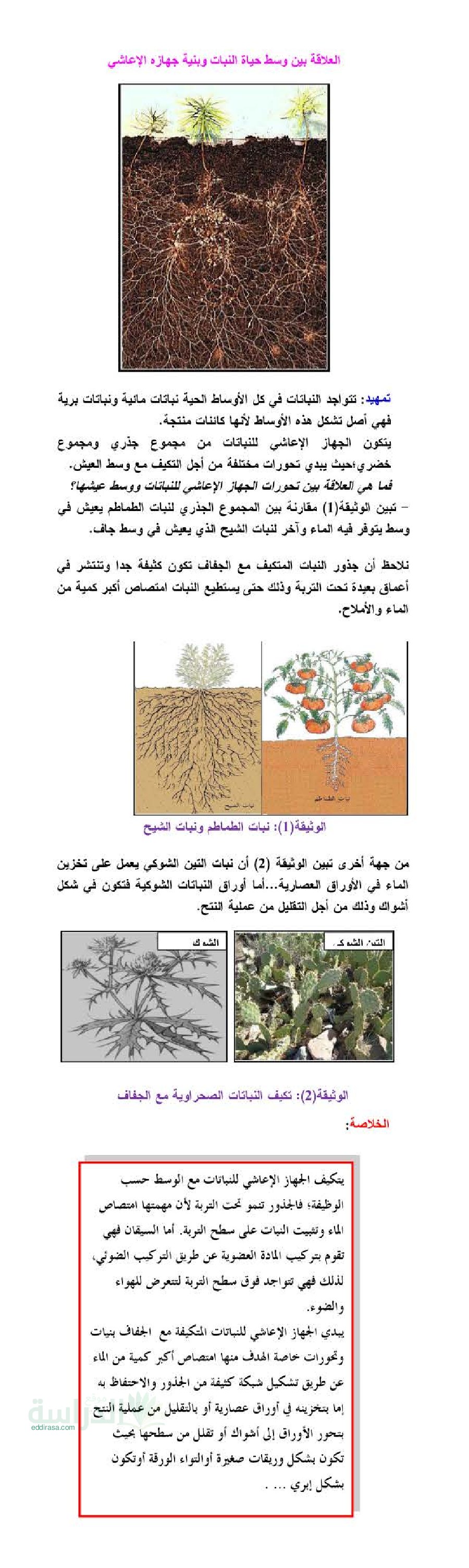 ملخص درس العلاقة بين وسط حياة النبات و بنية جهازه الإعاشي في العلوم الطبيعية سنة 2 متوسط