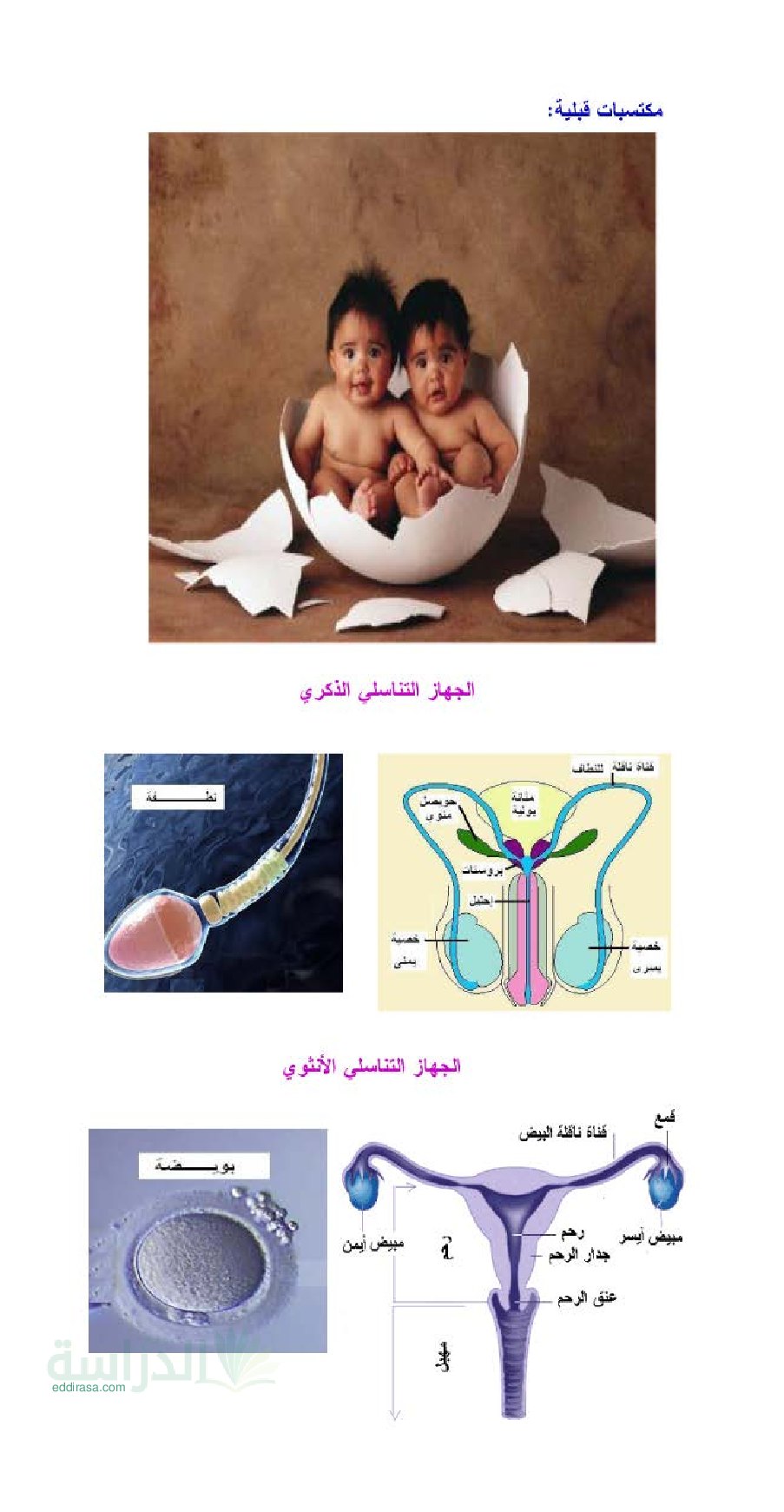 ملخص درس انتقال الصفات الوراثية في العلوم الطبيعية - سنة 4 متوسط