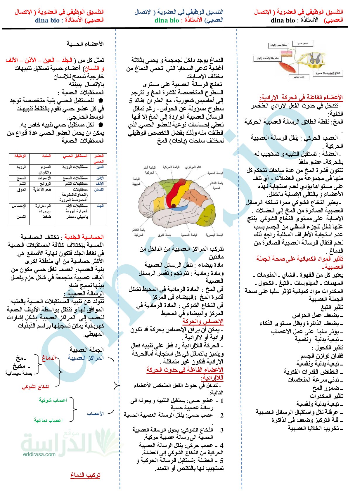 ملخص دروس التنسيق الوظيفي في العضوية - سنة 4 متوسط