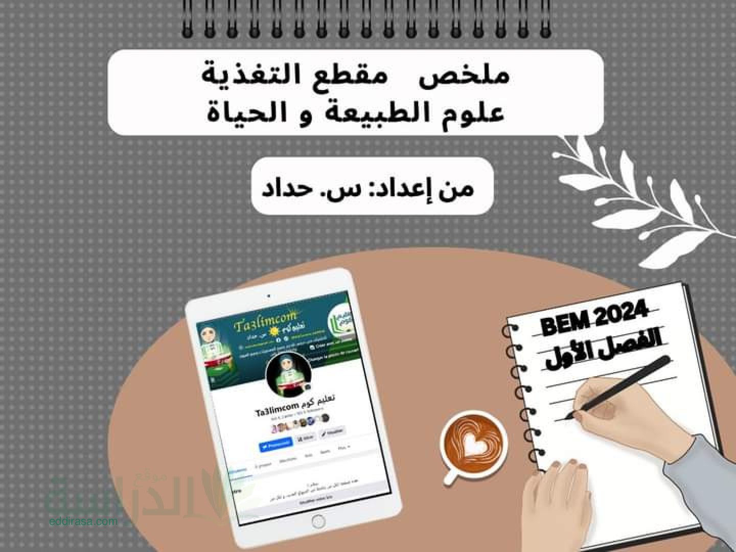 ملخص مقطع التغذية عند الإنسان - سنة 4 متوسط