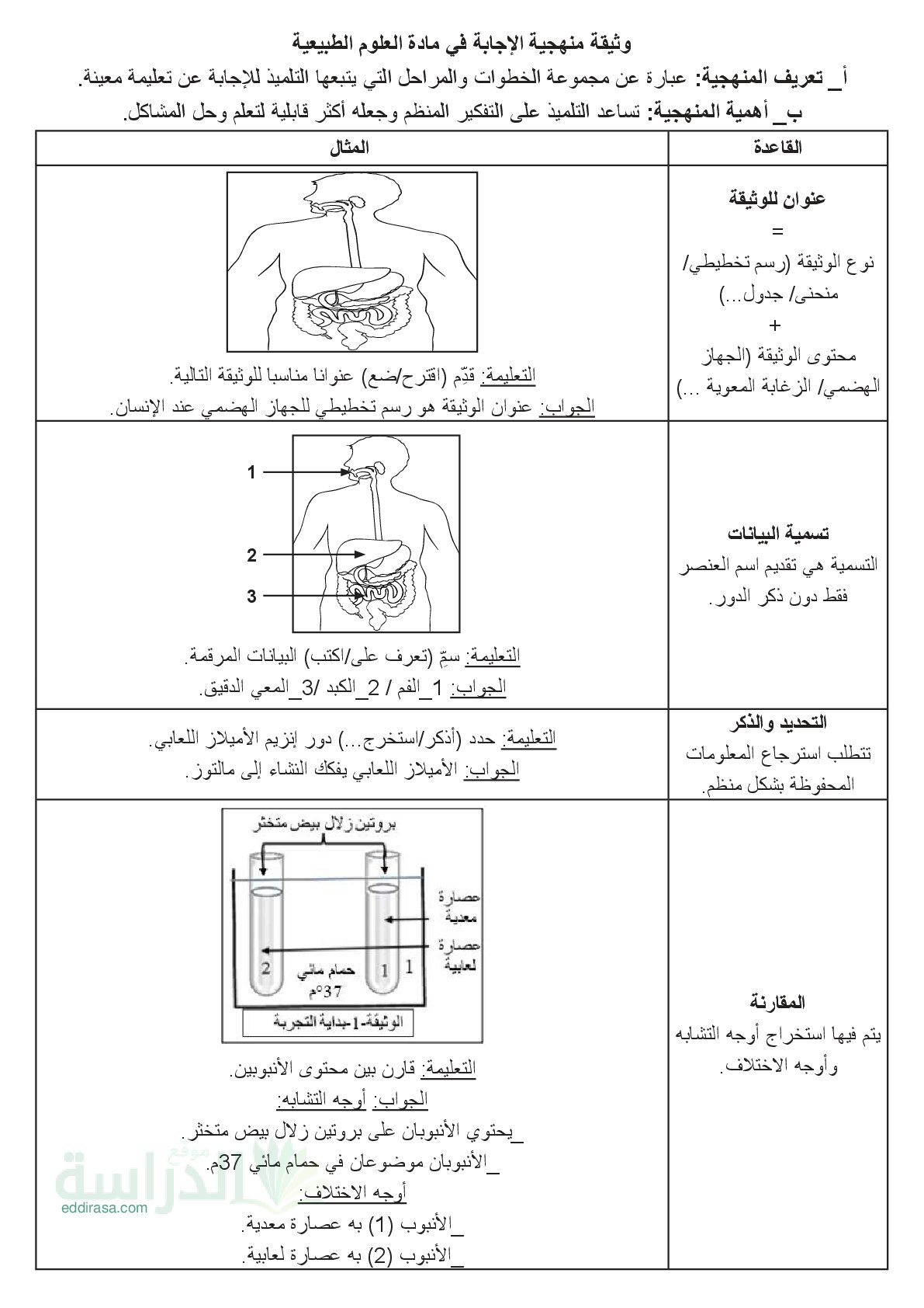 وثيقة منهجية الإجابة في مادة العلوم الطبيعية - سنة 4 متوسط