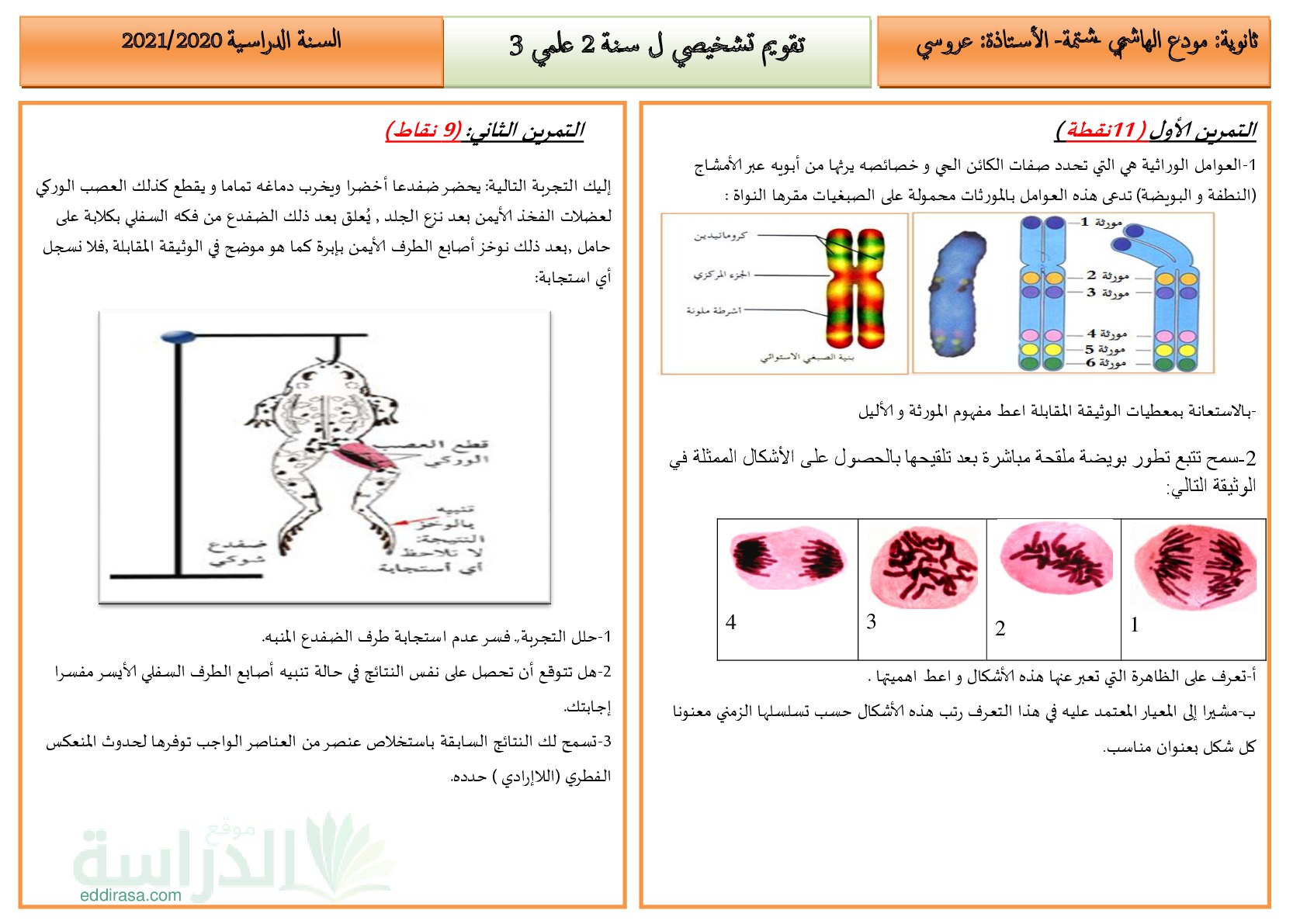 تقويم تشخيصي في العلوم الطبيعية السنة الثانية ثانوي رقم 2 مع التصحيح