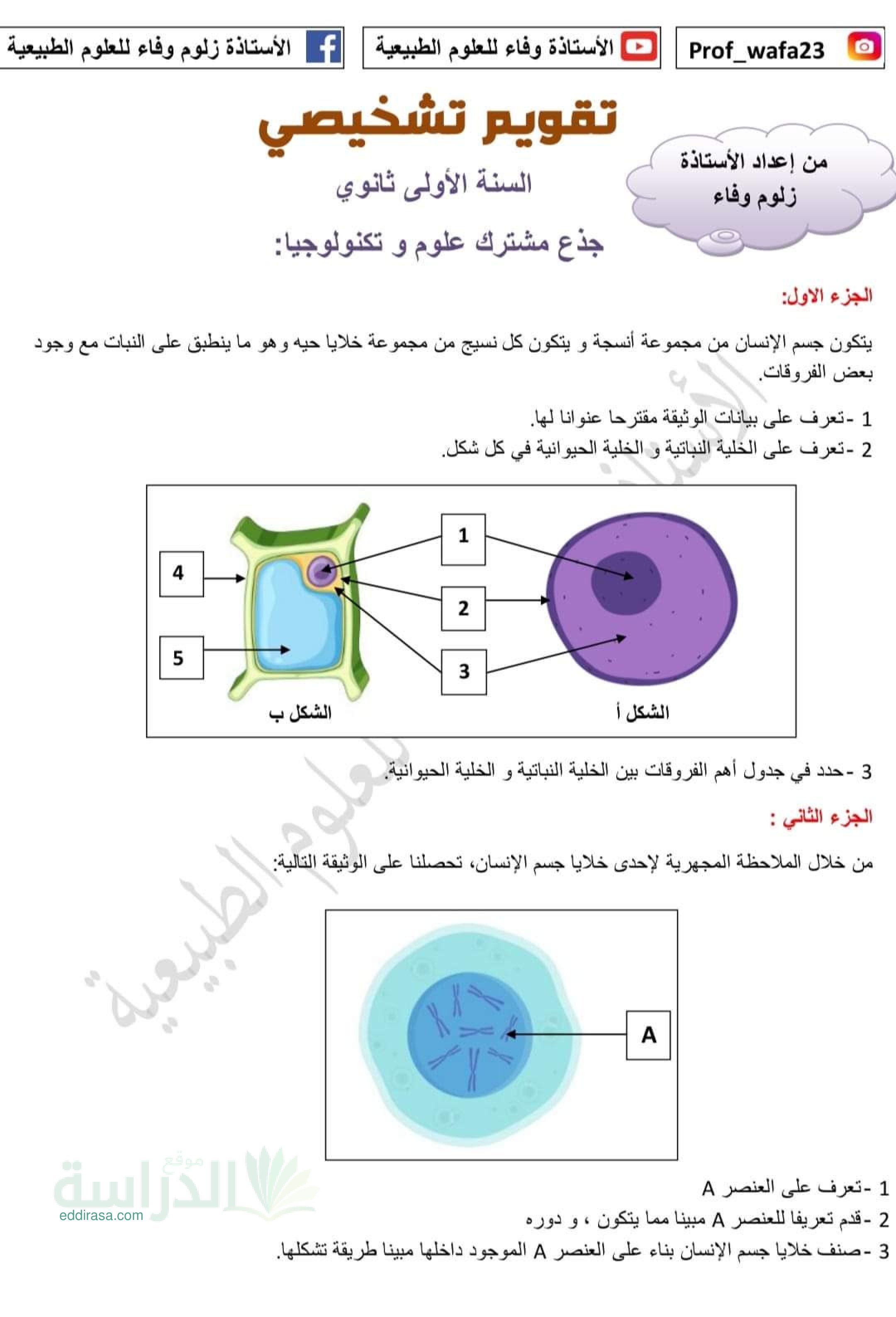نموذج تقويم تشخيصي في العلوم الطبيعية سنة 1 ثانوي رقم 9 مع التصحيح