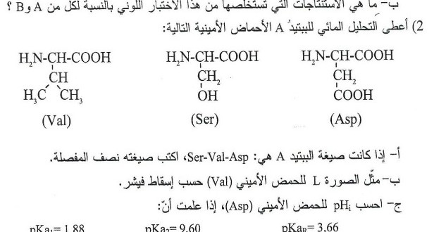 هندسة الطرائق