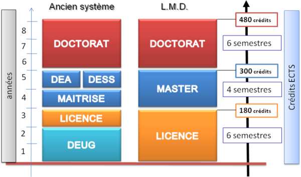 نظام الـ LMD ليسانس ماستر دوكتورا