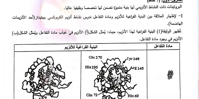 بكالوريا 2015 – اختبار العلوم الطبيعية شعبة العلوم التجريبية