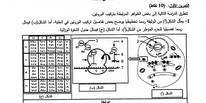 بكالوريا 2016 – اختبار العلوم الطبيعية شعبة رياضيات