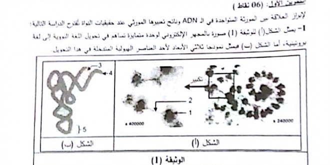 بكالوريا 2016 – اختبار العلوم الطبيعية شعبة علوم تجريبية