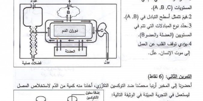 شهادة التعليم المتوسط 2016 – اختبار العلوم الطبيعية