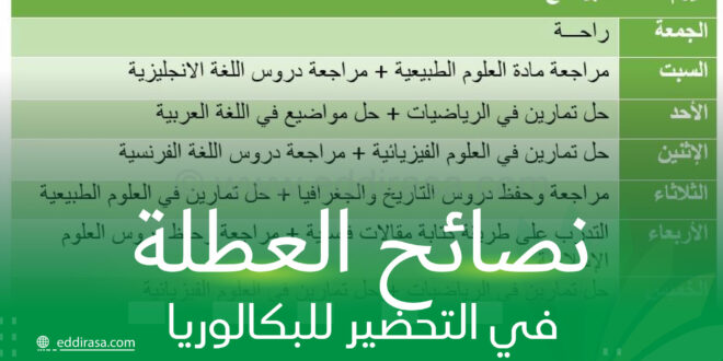 نصائح العطلة في التحضير للبكالوريا