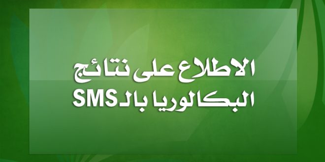 الاطلاع على نتائج بكالوريا بالرسائل القصيرة SMS