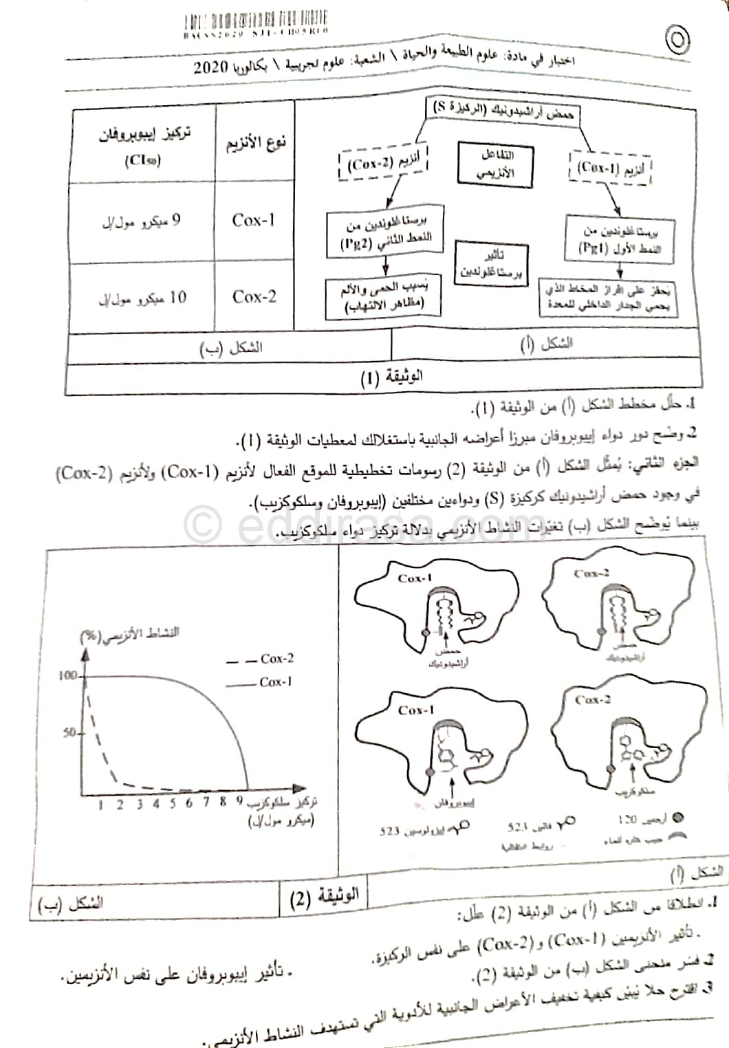 bac sc science 2020_2 | موقع الدراسة الجزائري