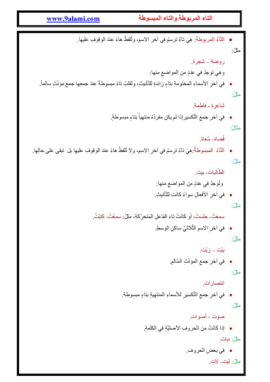 التاء المربوطة والتاء المبسوطة - دروس لغة عربية