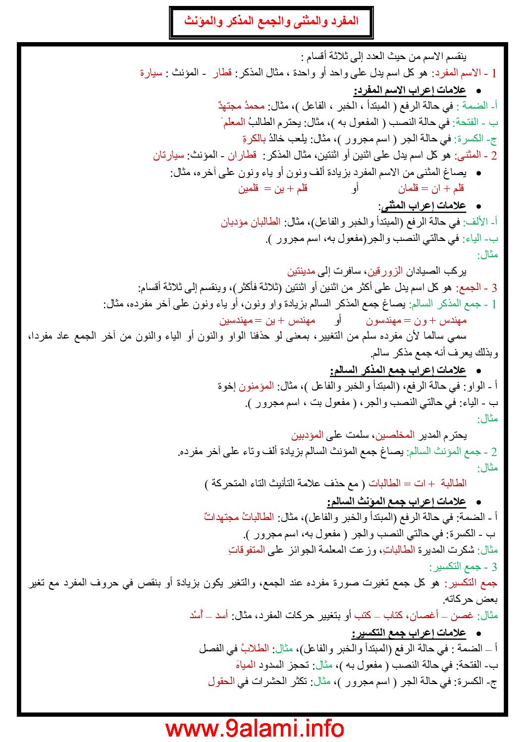 المفرد والمثنى والجمع المذكر والمؤنث - دروس لغة عربية