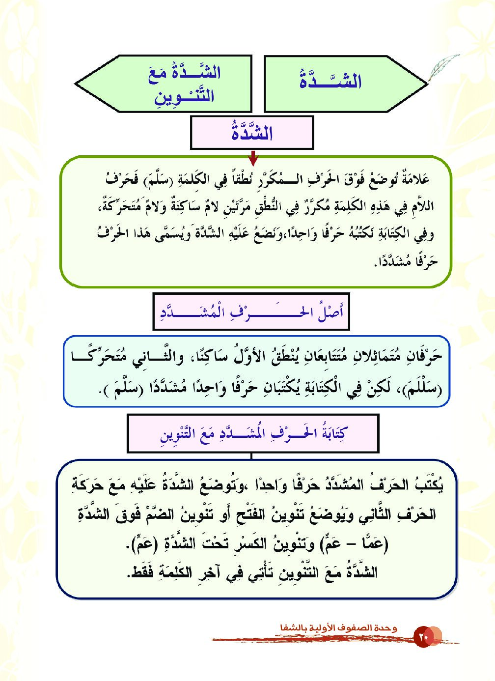 الشدة و الشدة مع التنوين - لغة عربية 1 ابتدائي
