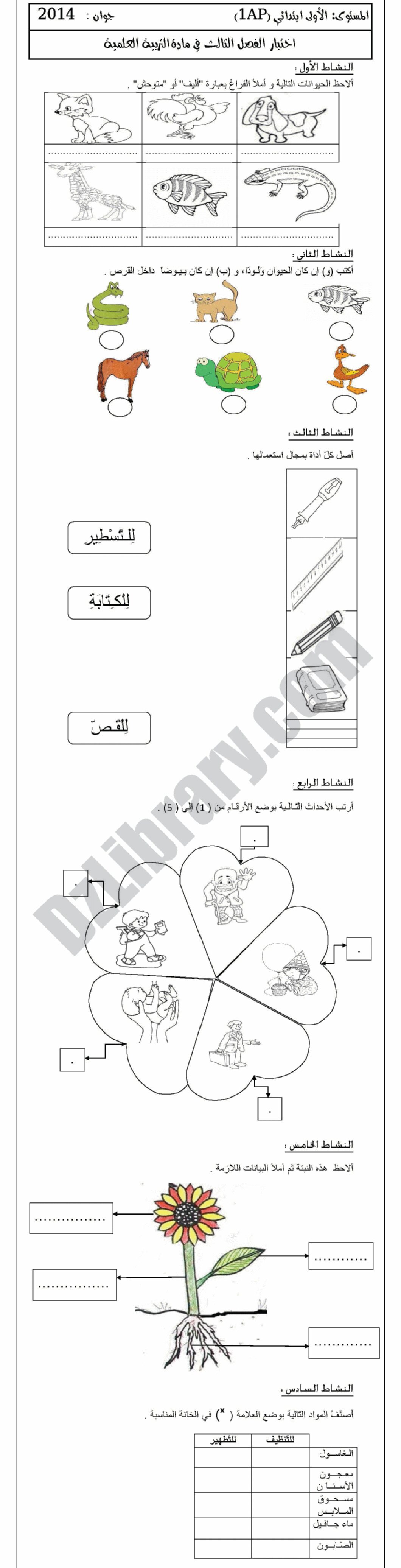 إختبار الفصل الثالث في التربية العلمية السنة الأولى ابتدائي رقم 01 مع التصحيح