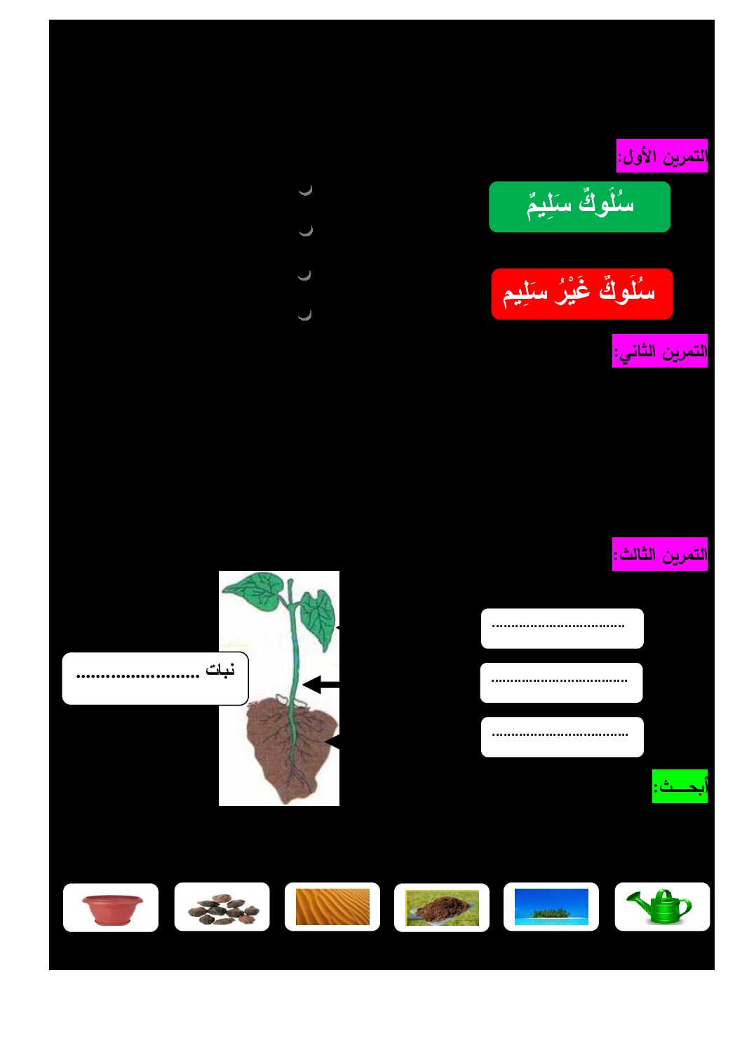 إختبار الفصل الأول في التربية العلمية السنة الثانية ابتدائي رقم 10