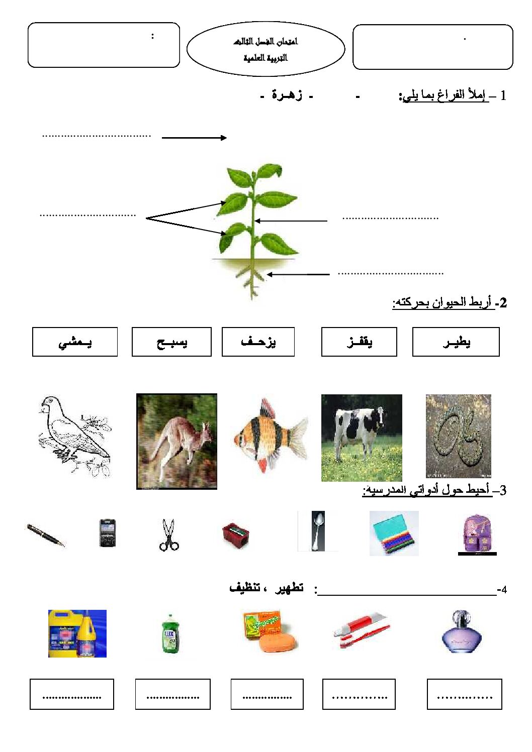 إختبار الفصل الثالث في التربية العلمية السنة الأولى ابتدائي رقم 13
