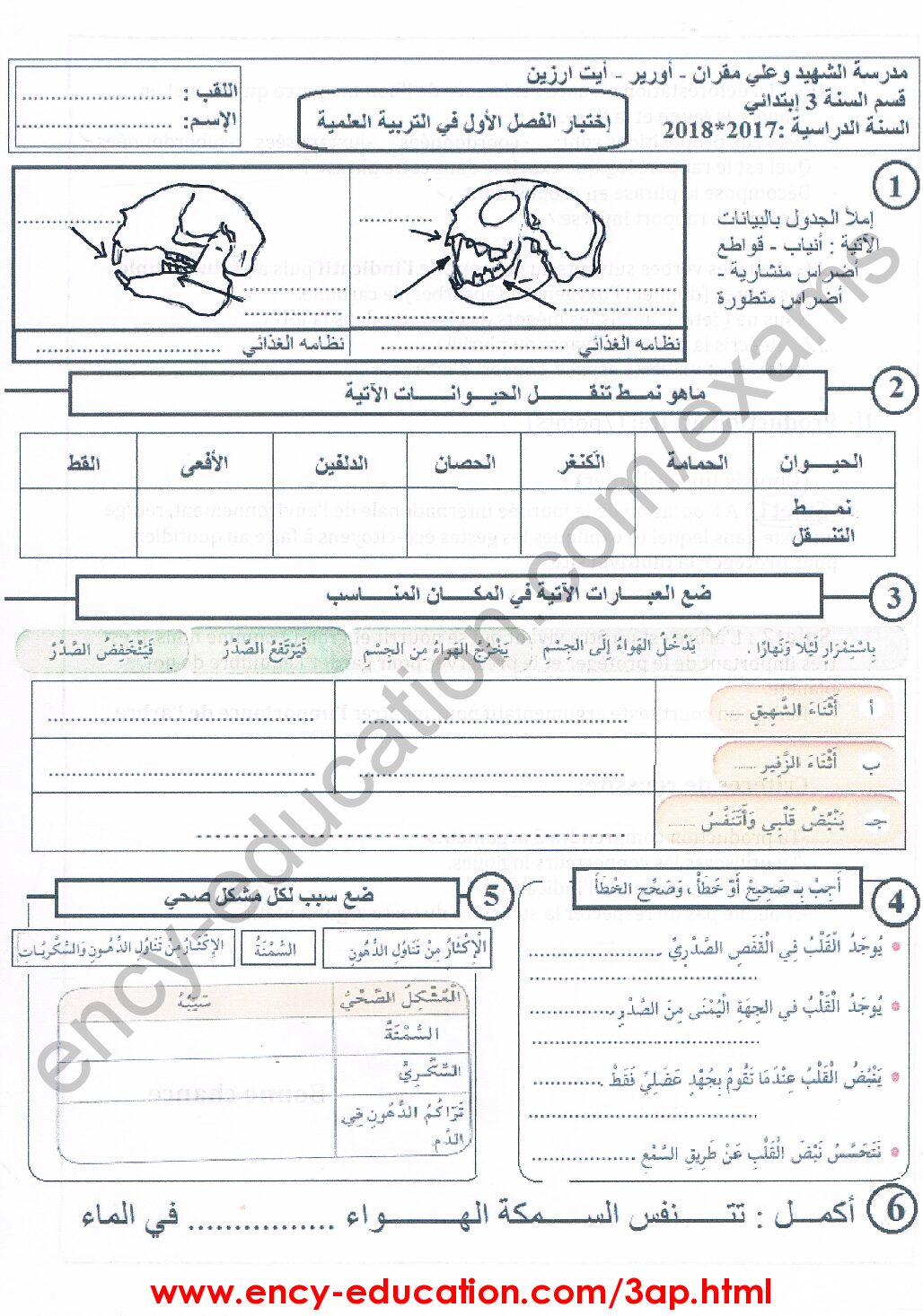 إختبار الفصل الأول في التربية العلمية السنة الثالثة ابتدائي رقم 20