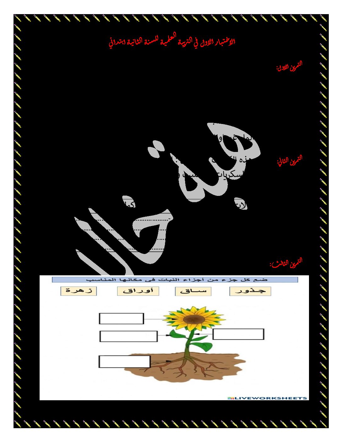 إختبار الفصل الأول في التربية العلمية السنة الثانية ابتدائي رقم 49